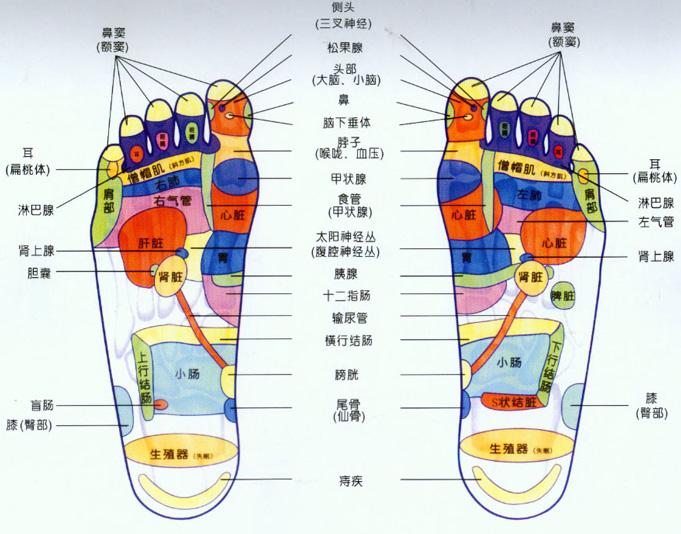 石家莊空氣能熱泵采暖人體感覺舒適0311-83016558 石家莊空氣能熱泵采暖人體感覺舒適0311-83016558